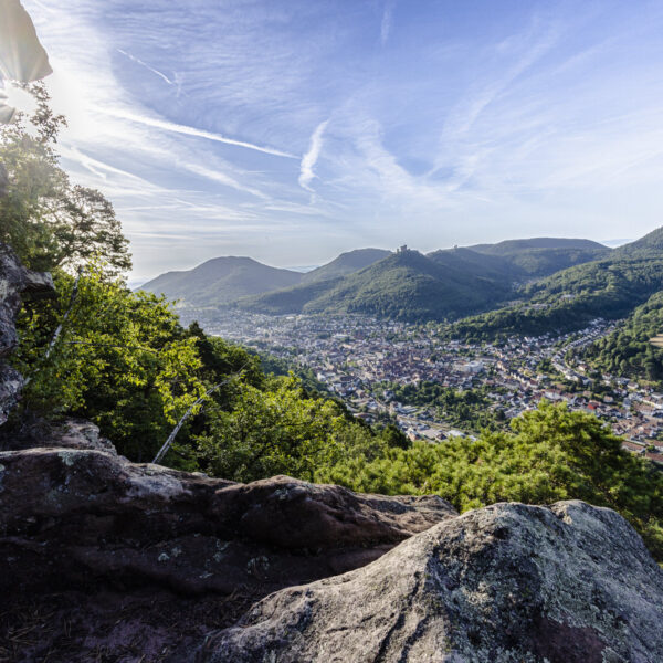 Blick vom Kleinen Adelberg auf die Stadt Annweiler
