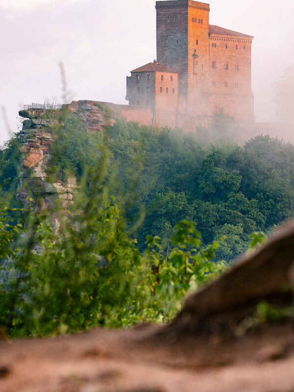 Blick auf Burg Trifels